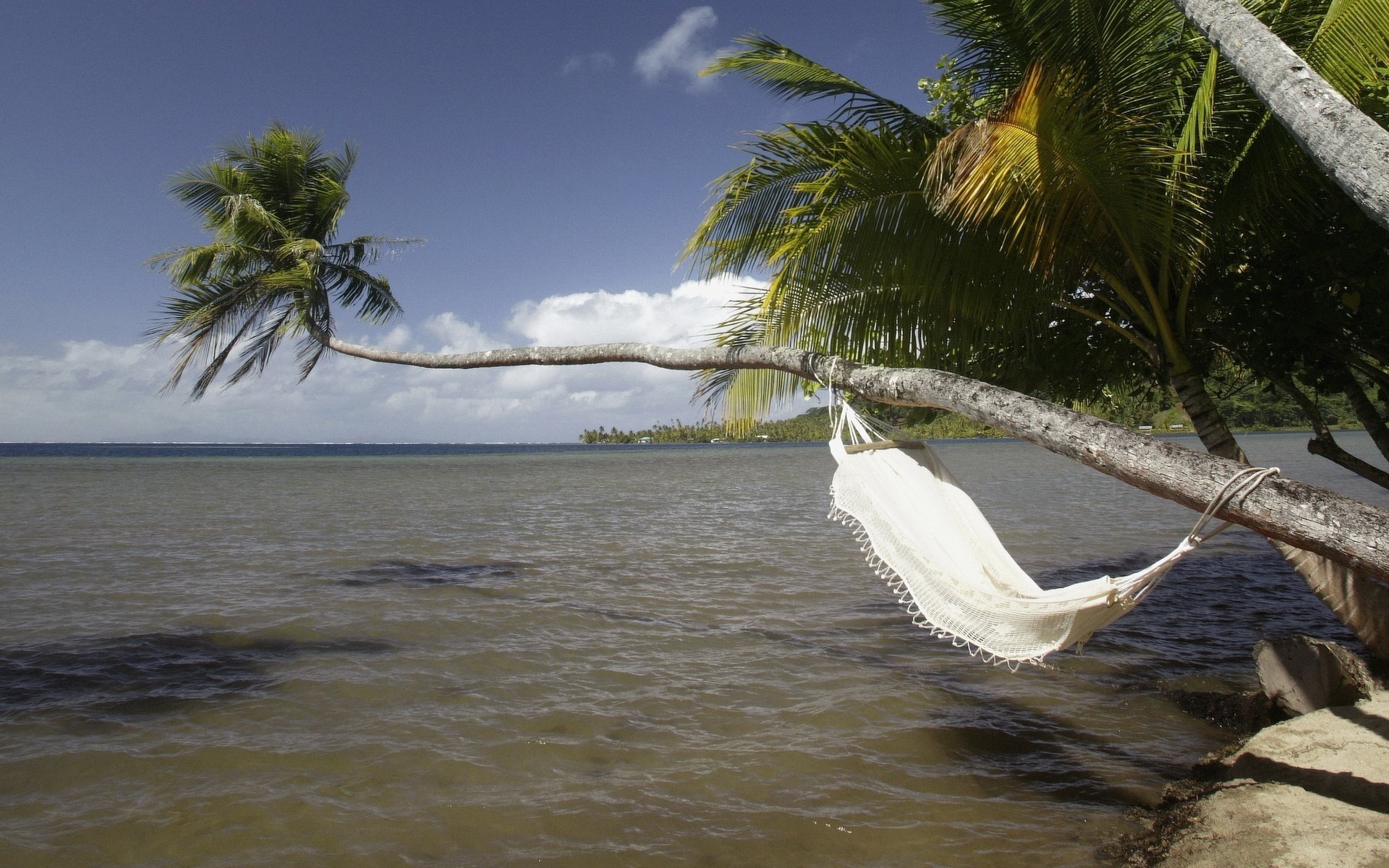 trees hammock over water stones water the sky palm trees sea shore stay vacation nature landscape horizon tropics island