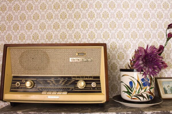 Retro radio and potted flower
