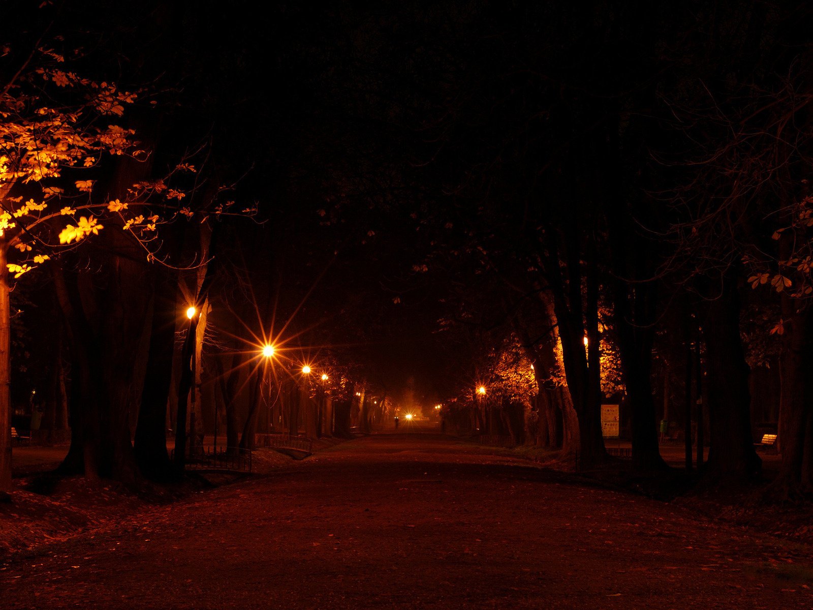 alley lights trees park street lanterns night background new york city light