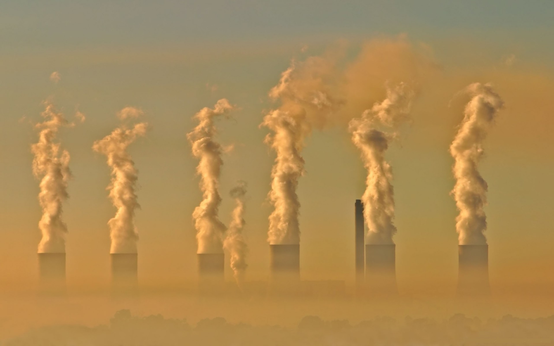 was able industrial pollution shock