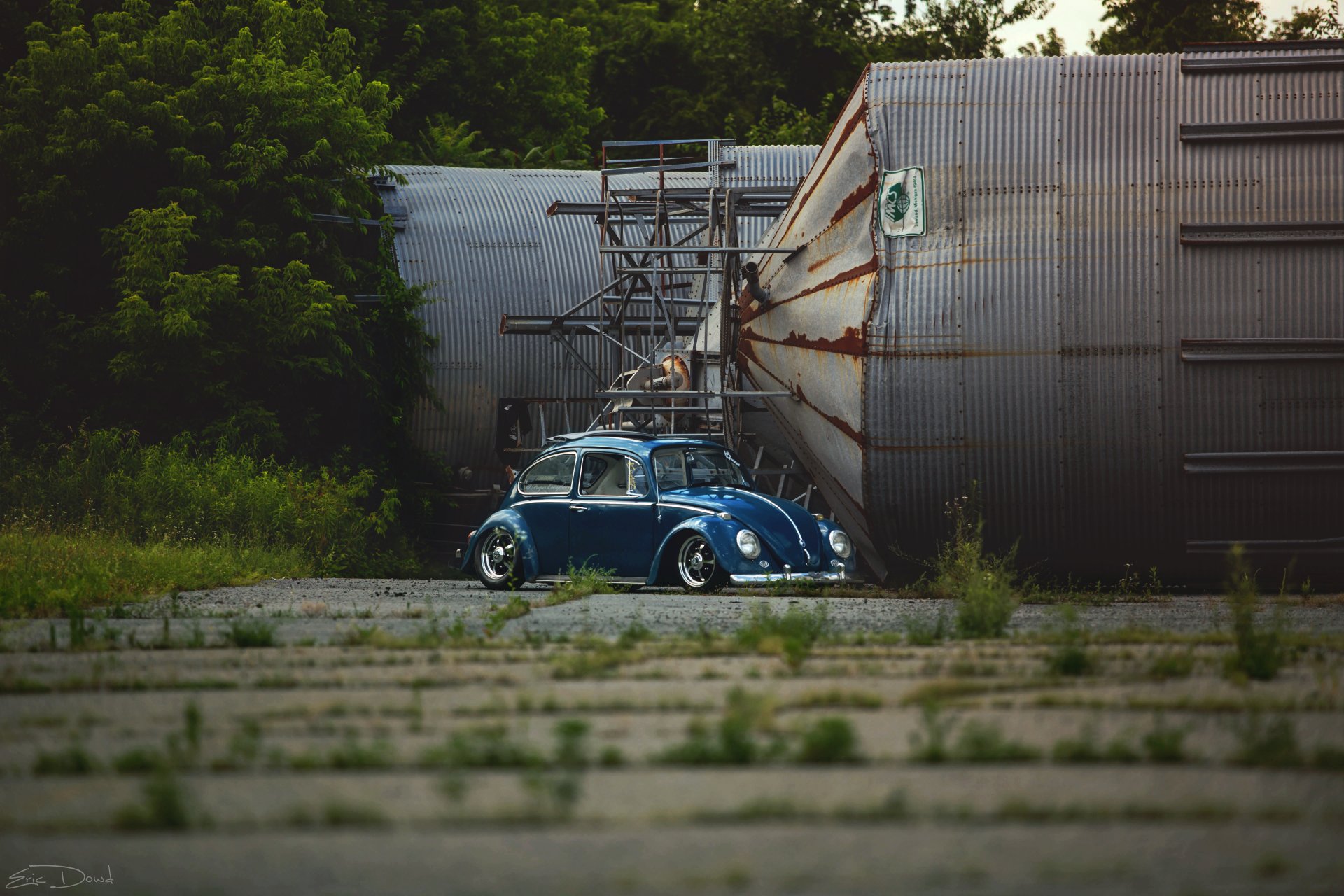 volkswagen vw beetle