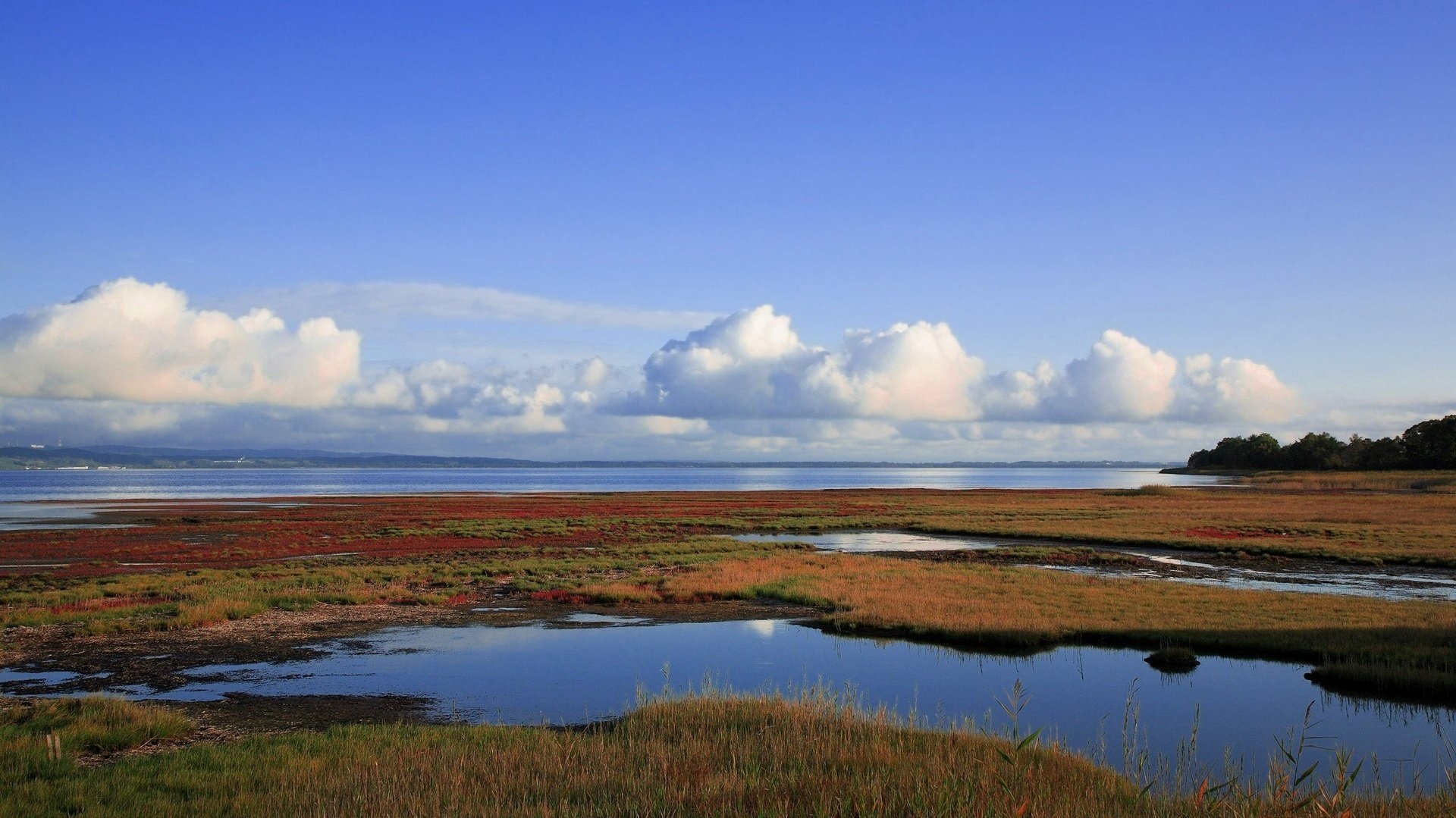 plits the earth blue water weed the sky water horizon clouds swamp landscape nature summer