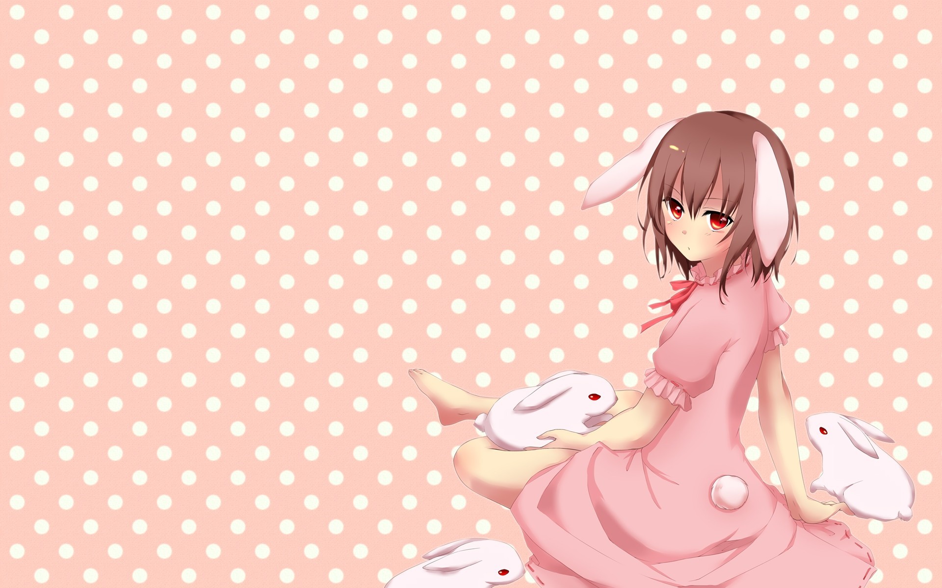 hort hair dress bunnygirl red eyes hare rabbit animals animal ears tail brown hair