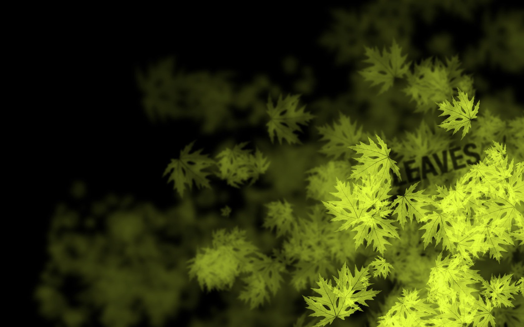 leaves maple lettering yellow black background greenery dark background drawing word textures maple