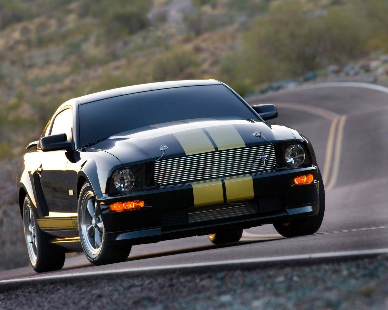car mustang road