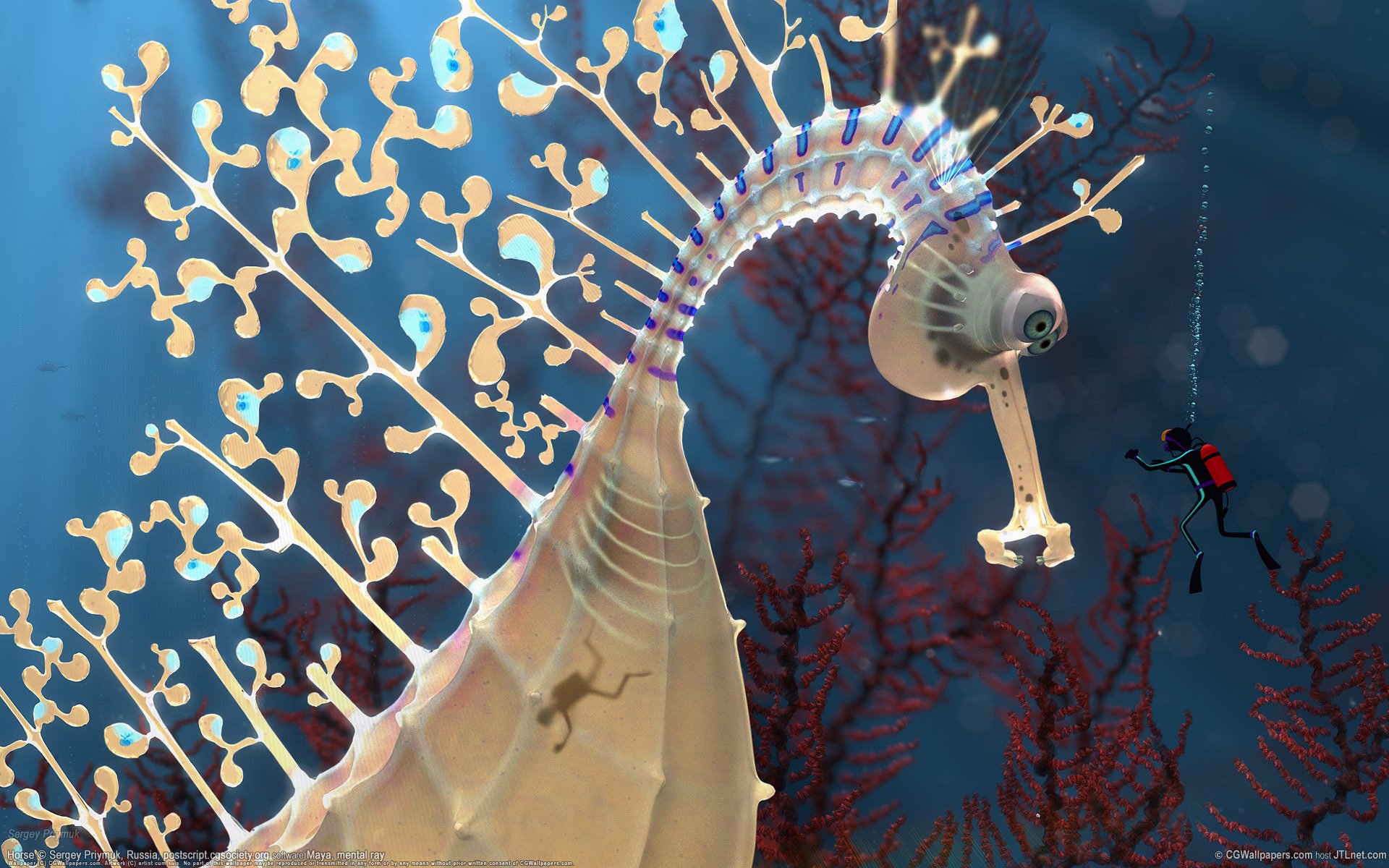 eahorse depth the diver waterfowl underwater world