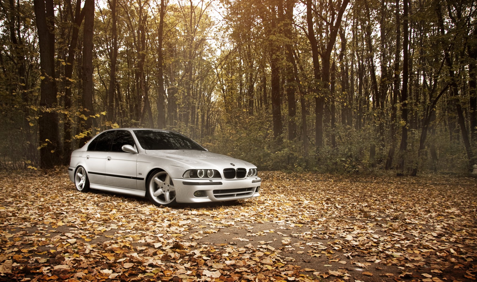 bmw m5 e39 position works autumn leaves forest bmw