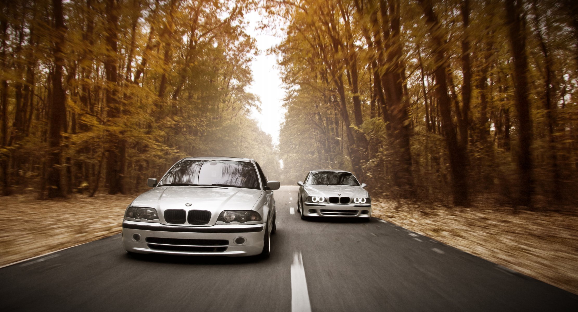 bmw e39 e46 m5 stance works road speed autumn forest light