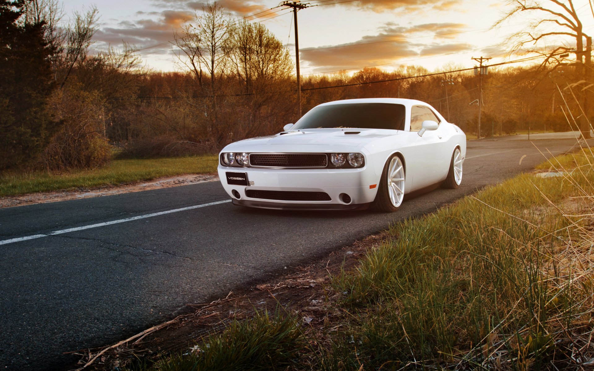 dodge challenger muscle car white challenger