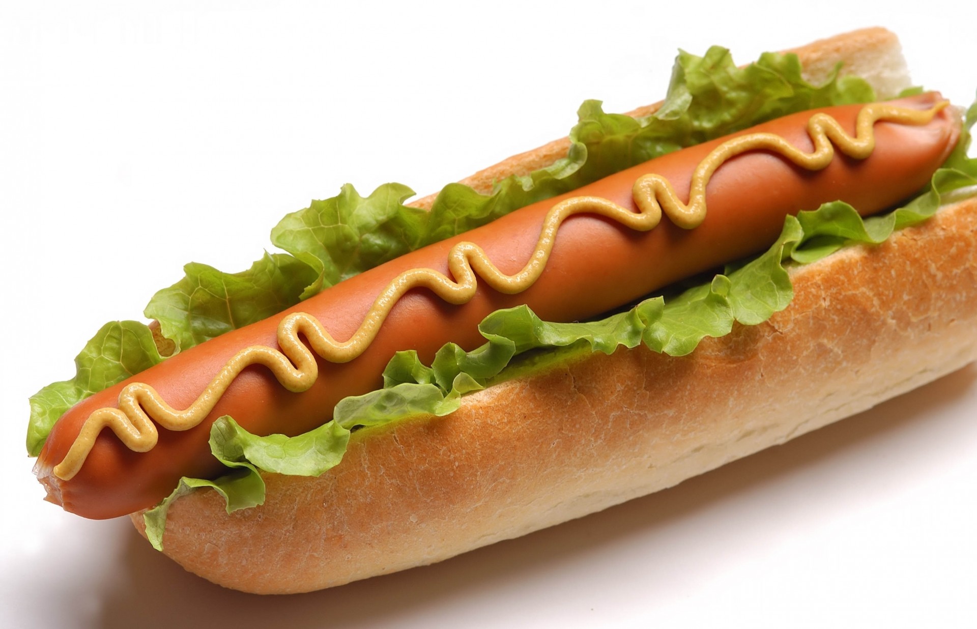 ausages the sandwich white background cabbage mustard