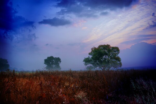 Evening pejaz of nature