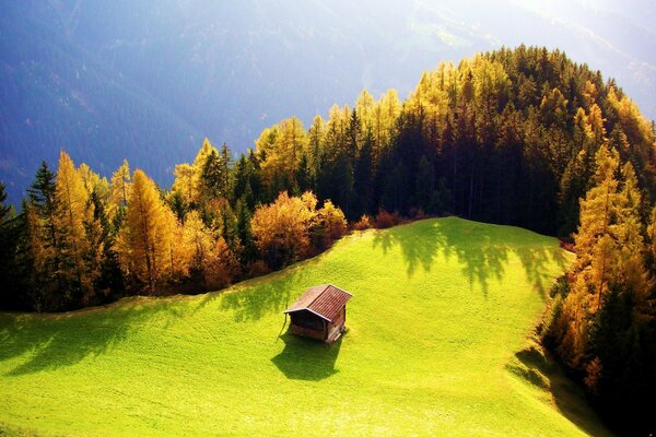 A lonely house in a field near the forest