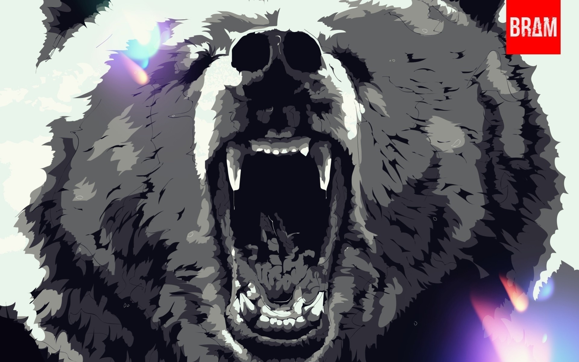 bear art animal
