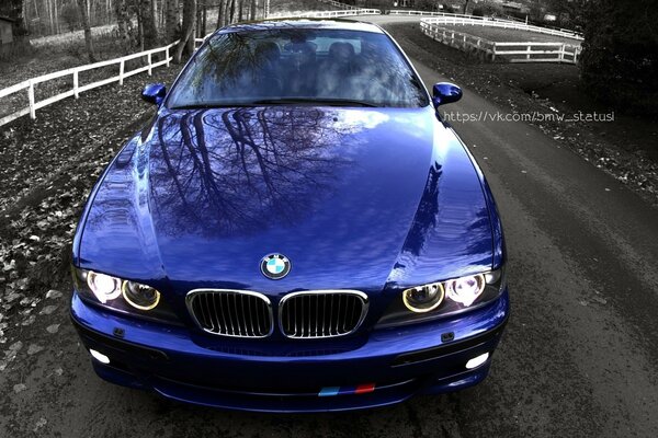Beautiful blue BMW in the autumn park
