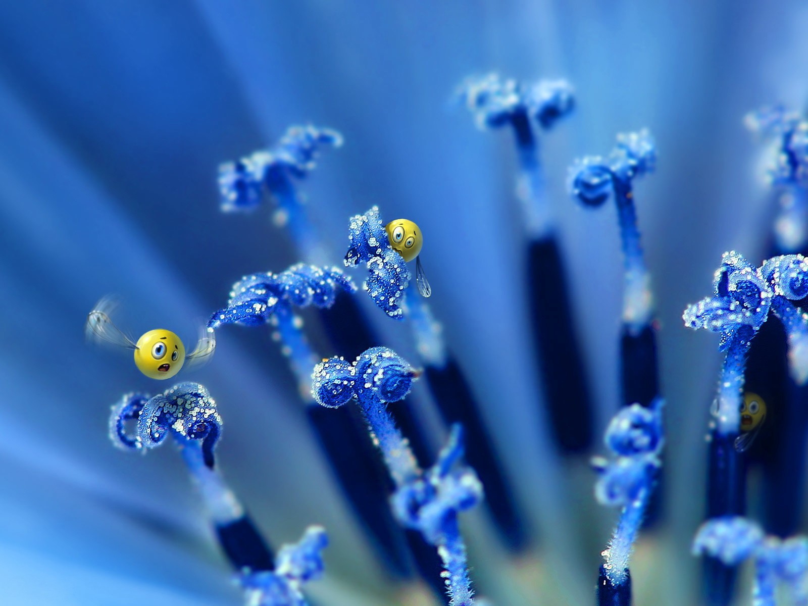 emoticons flower blue