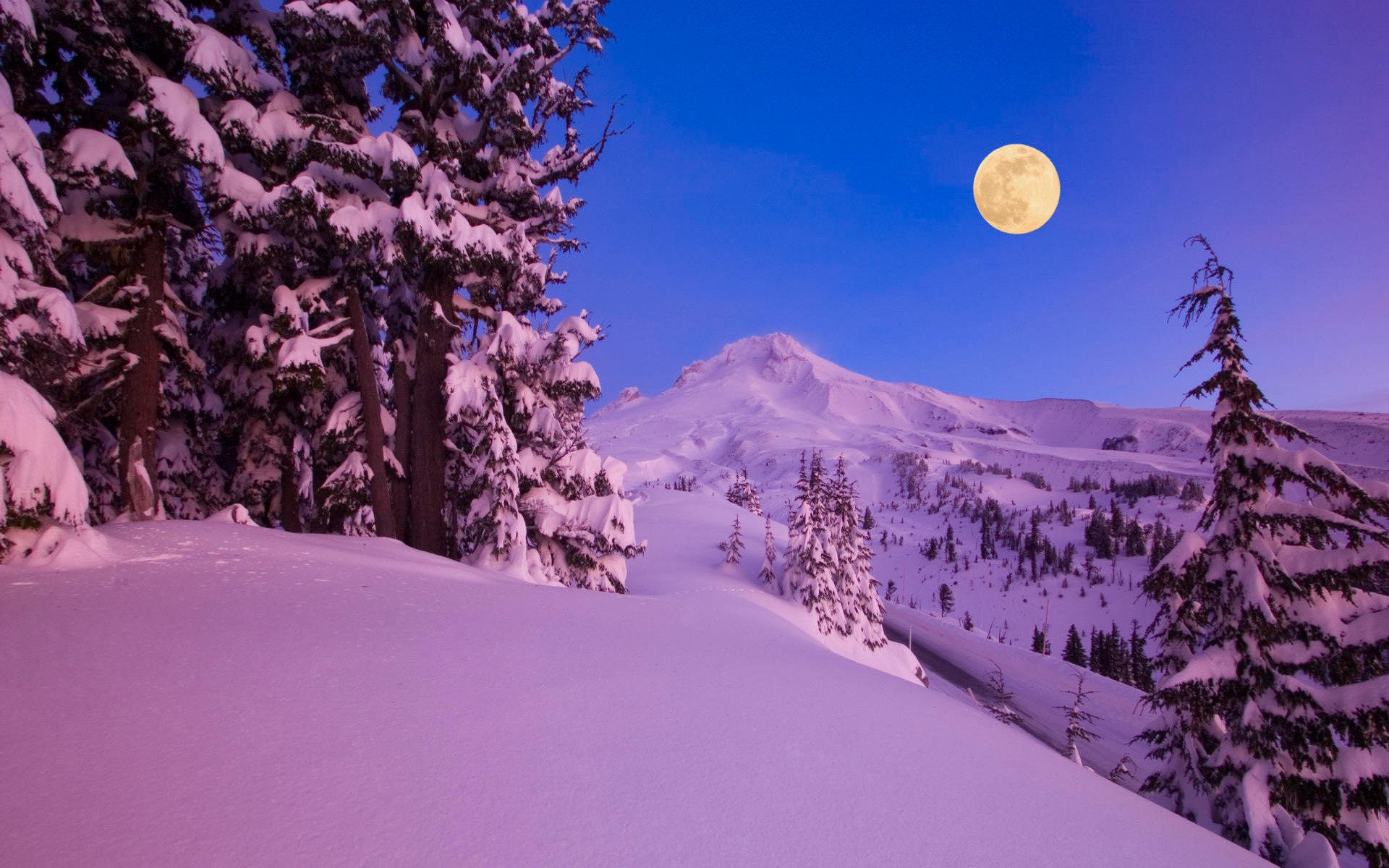 nature winter snow mountain forest tree night moon year