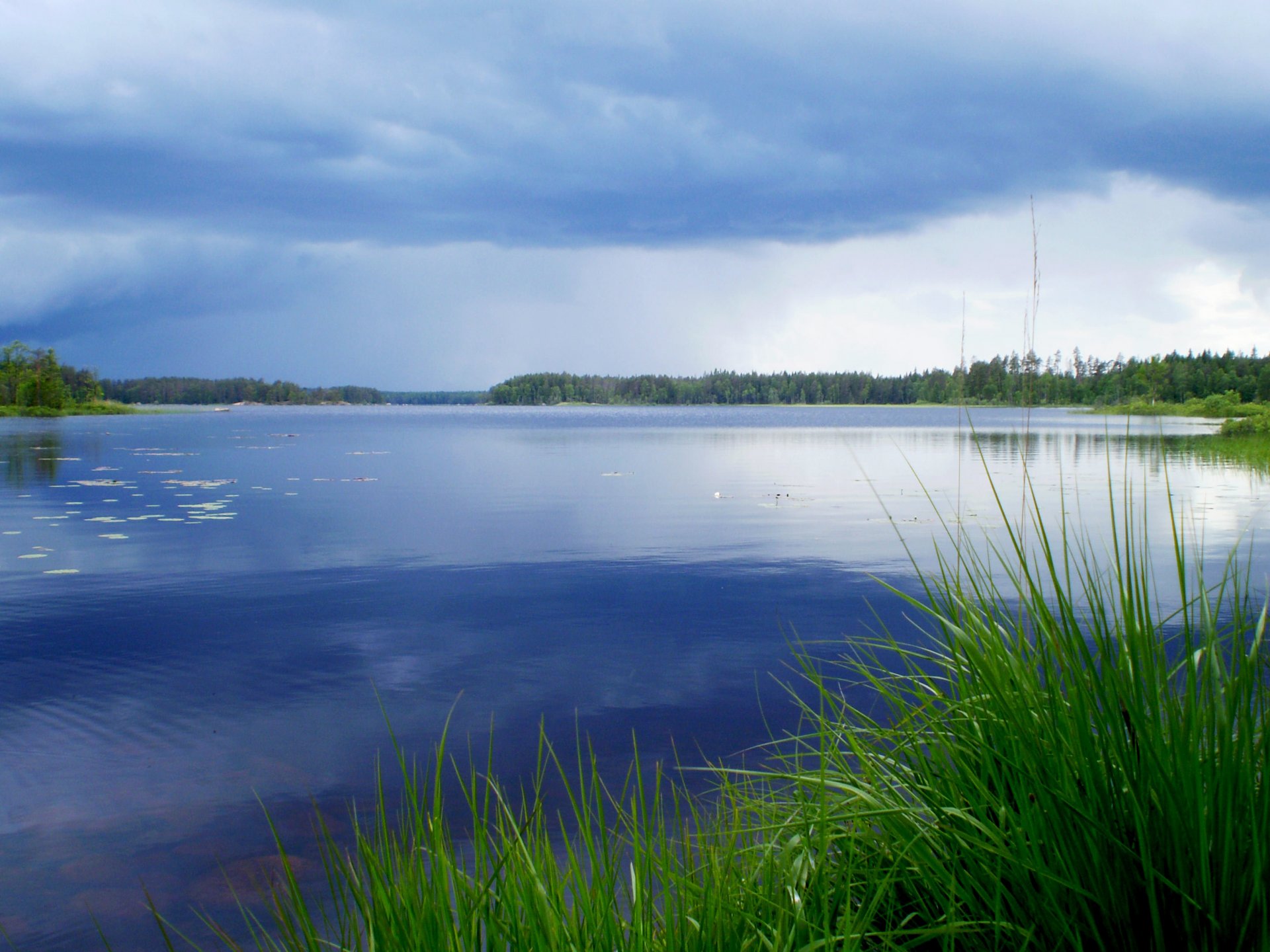 nature water lake tree summer. the sky