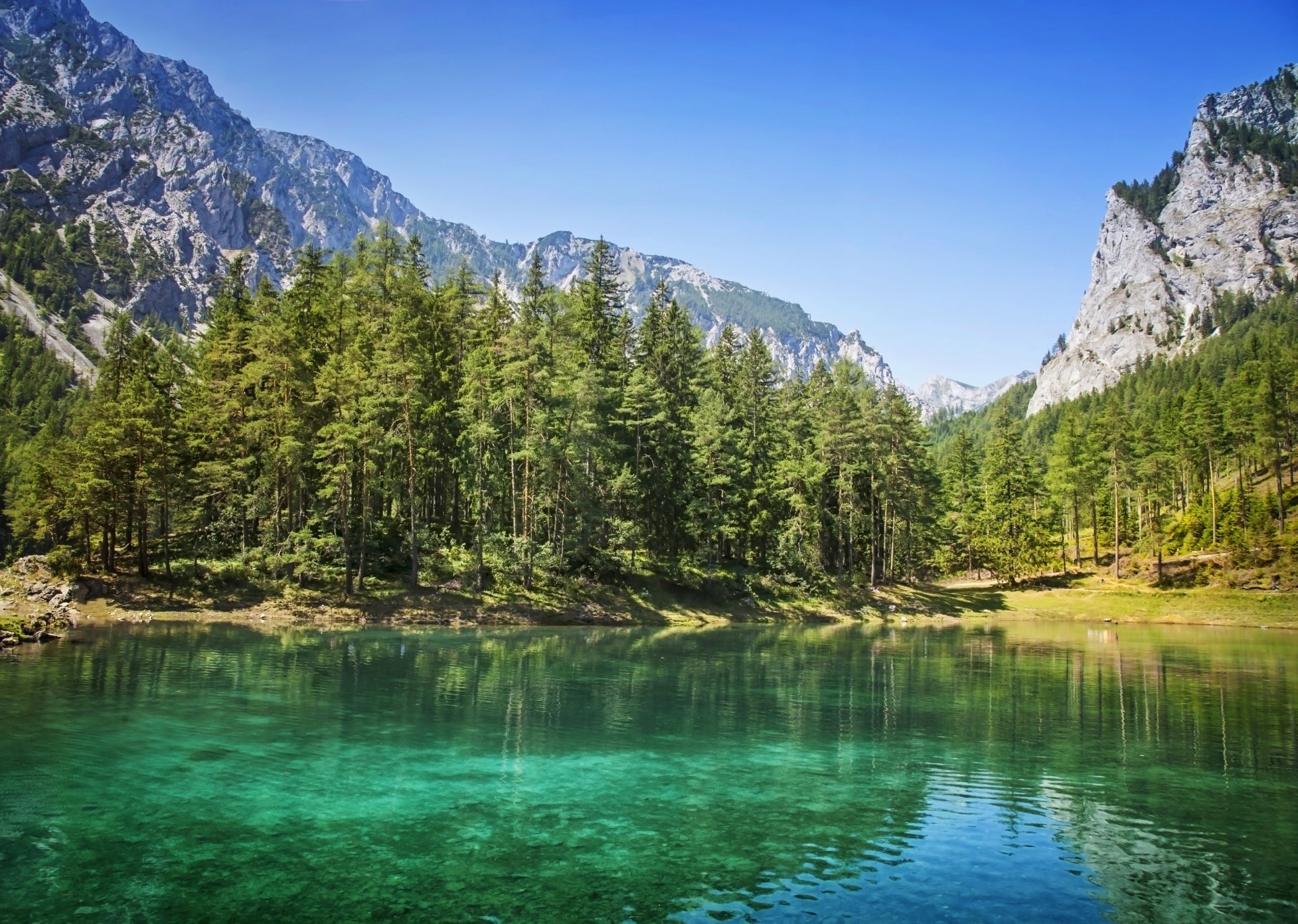 nature mountains forest lake christmas trees tree