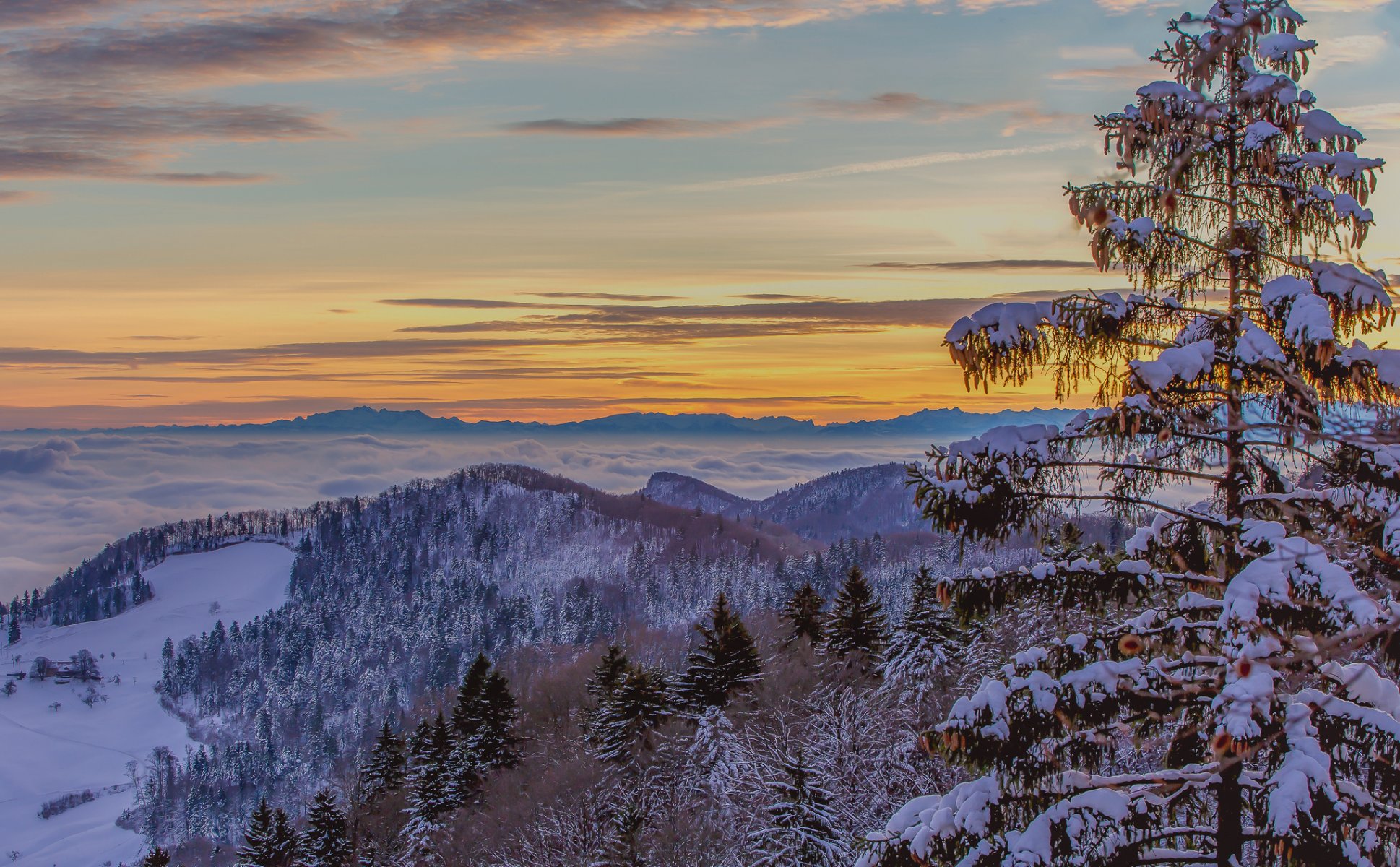 ky glow clouds fog winter tree mountain snow spruce