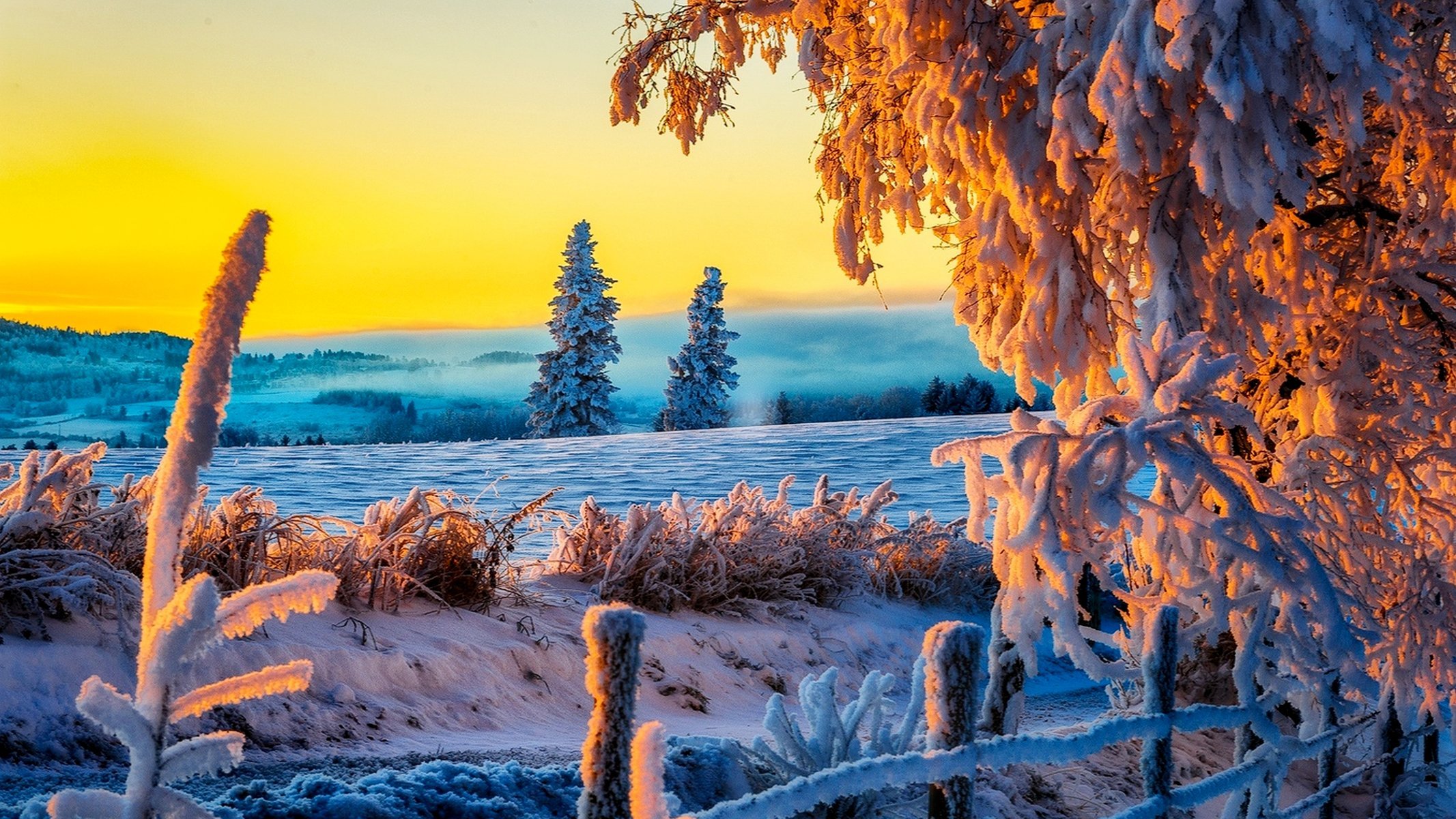nature winter snow road trees forest sky landscape winter white cool nice sunset