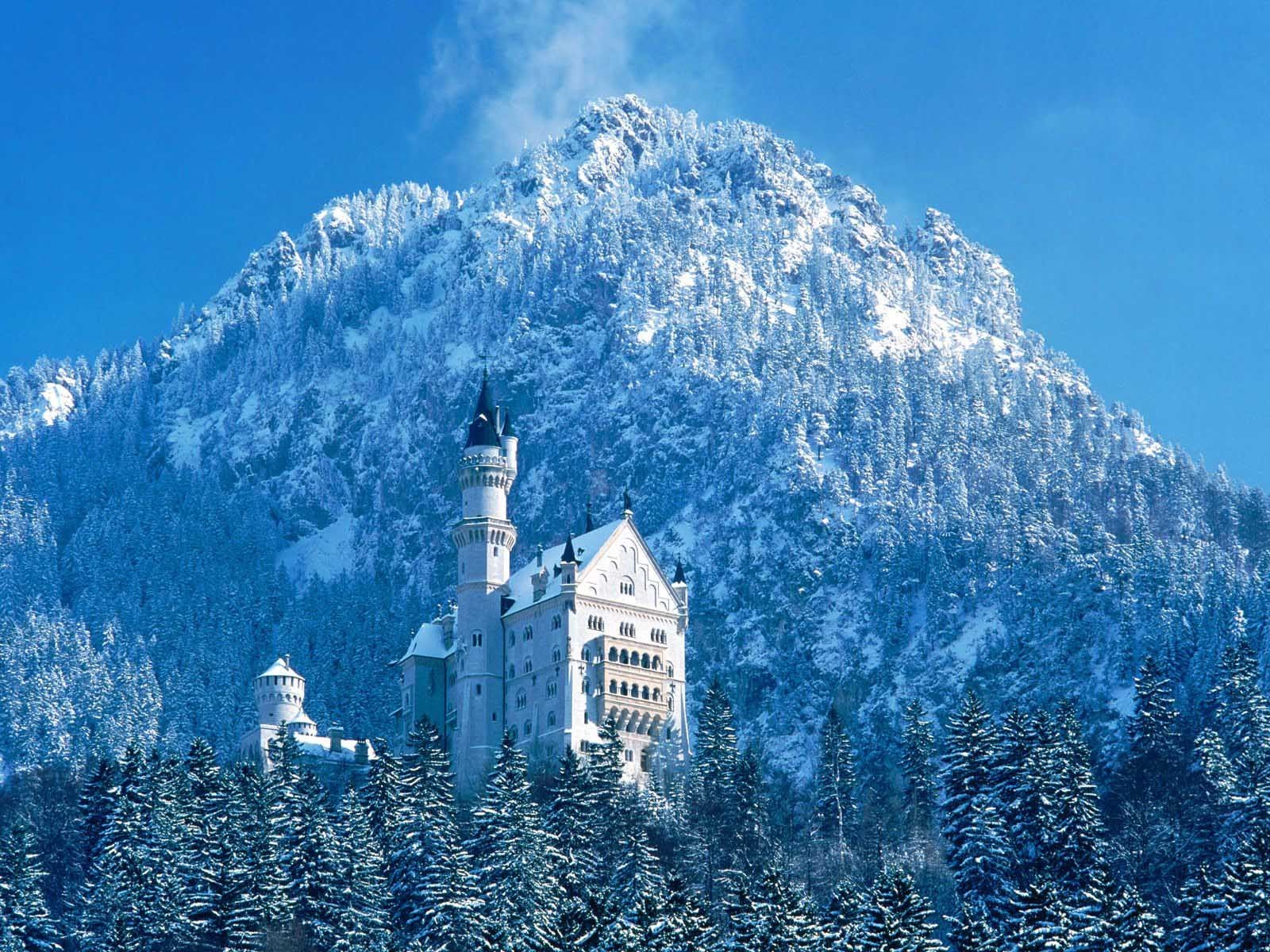 bayern munich neuschwanstein castle