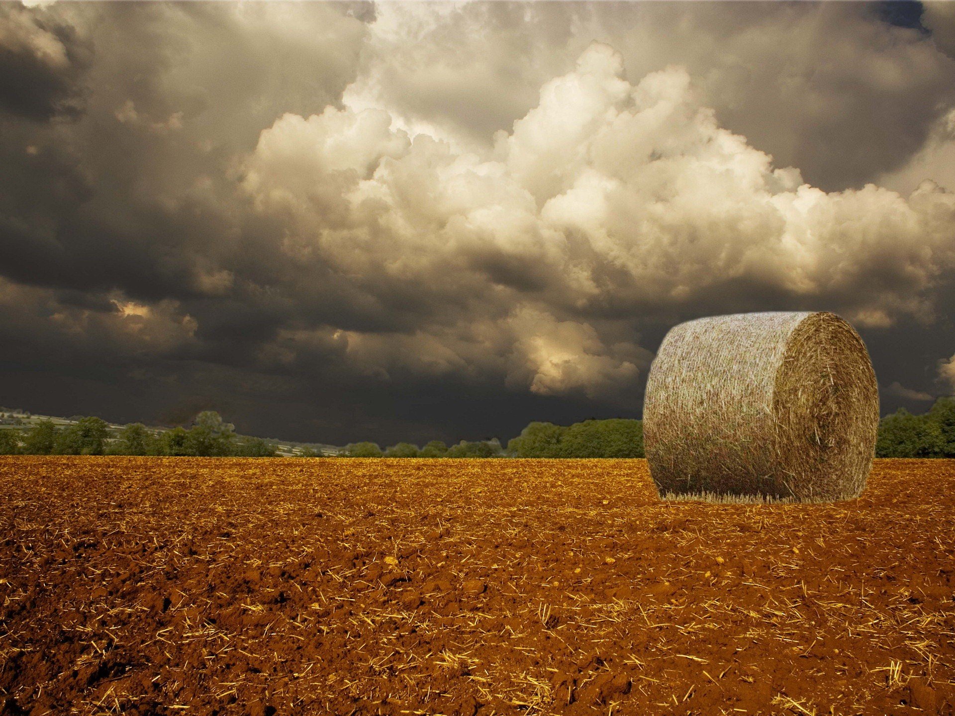 clouds the field storm