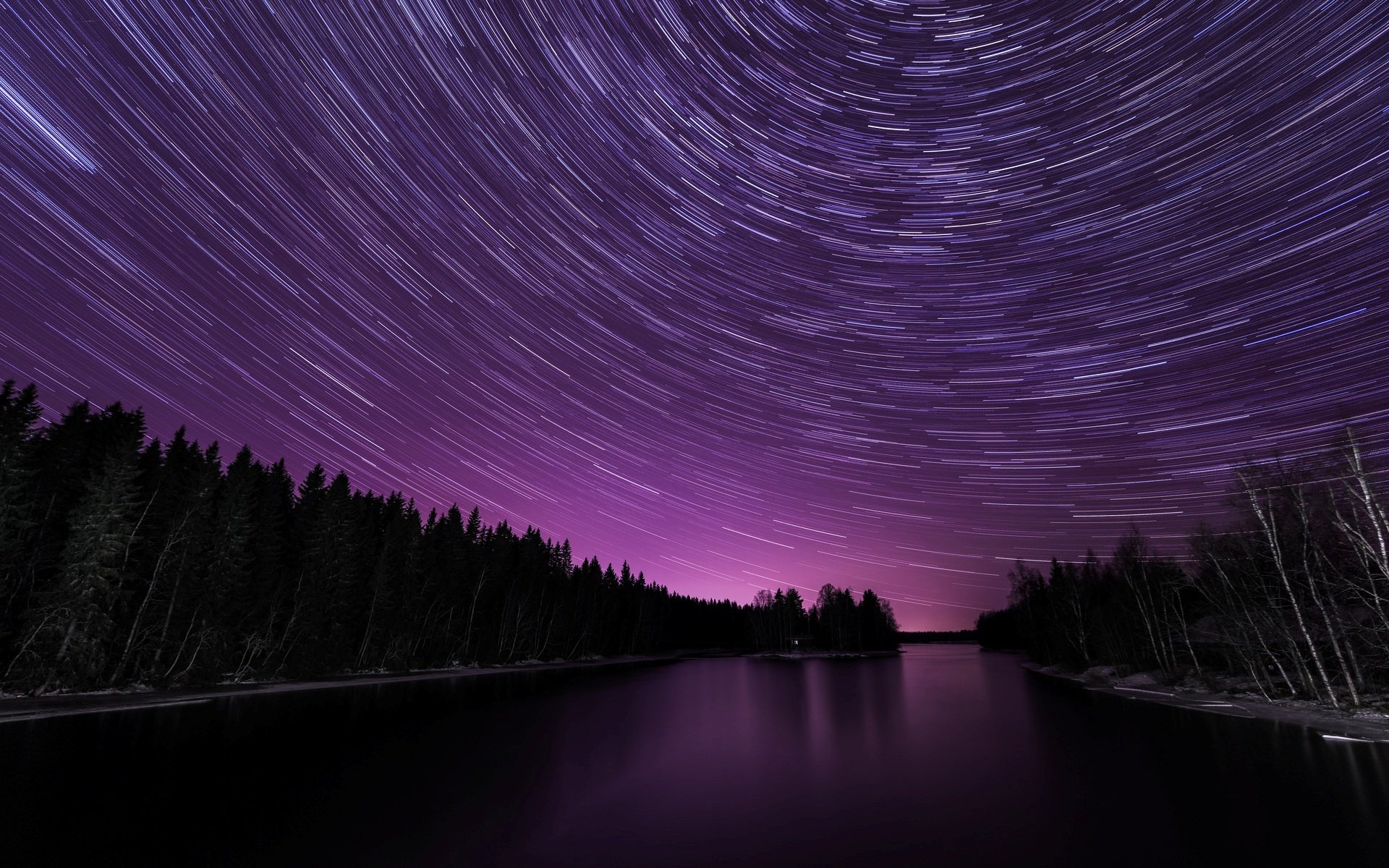 nature tree river sea water night star stars tree