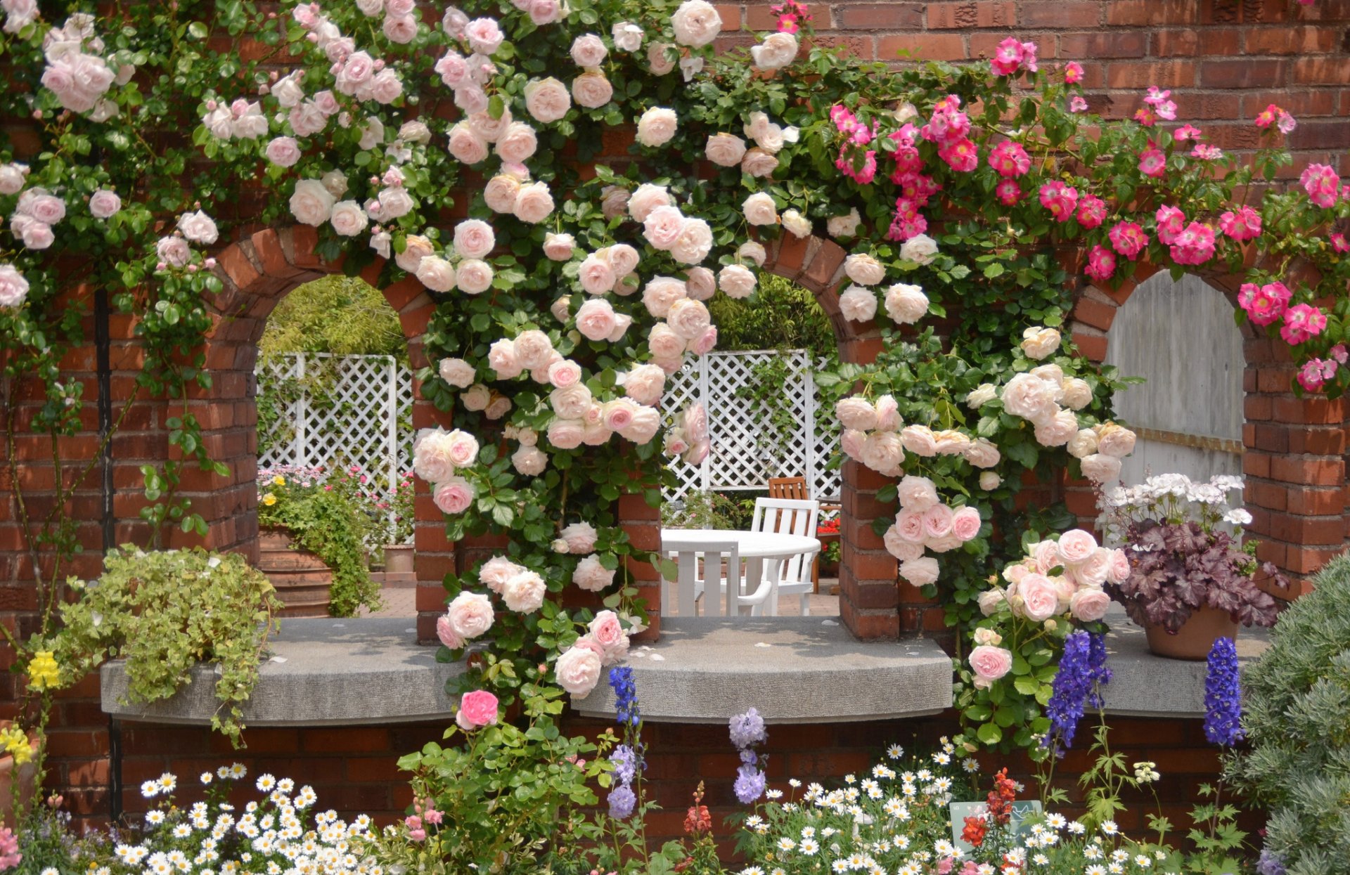 upplies roses chamomile flower