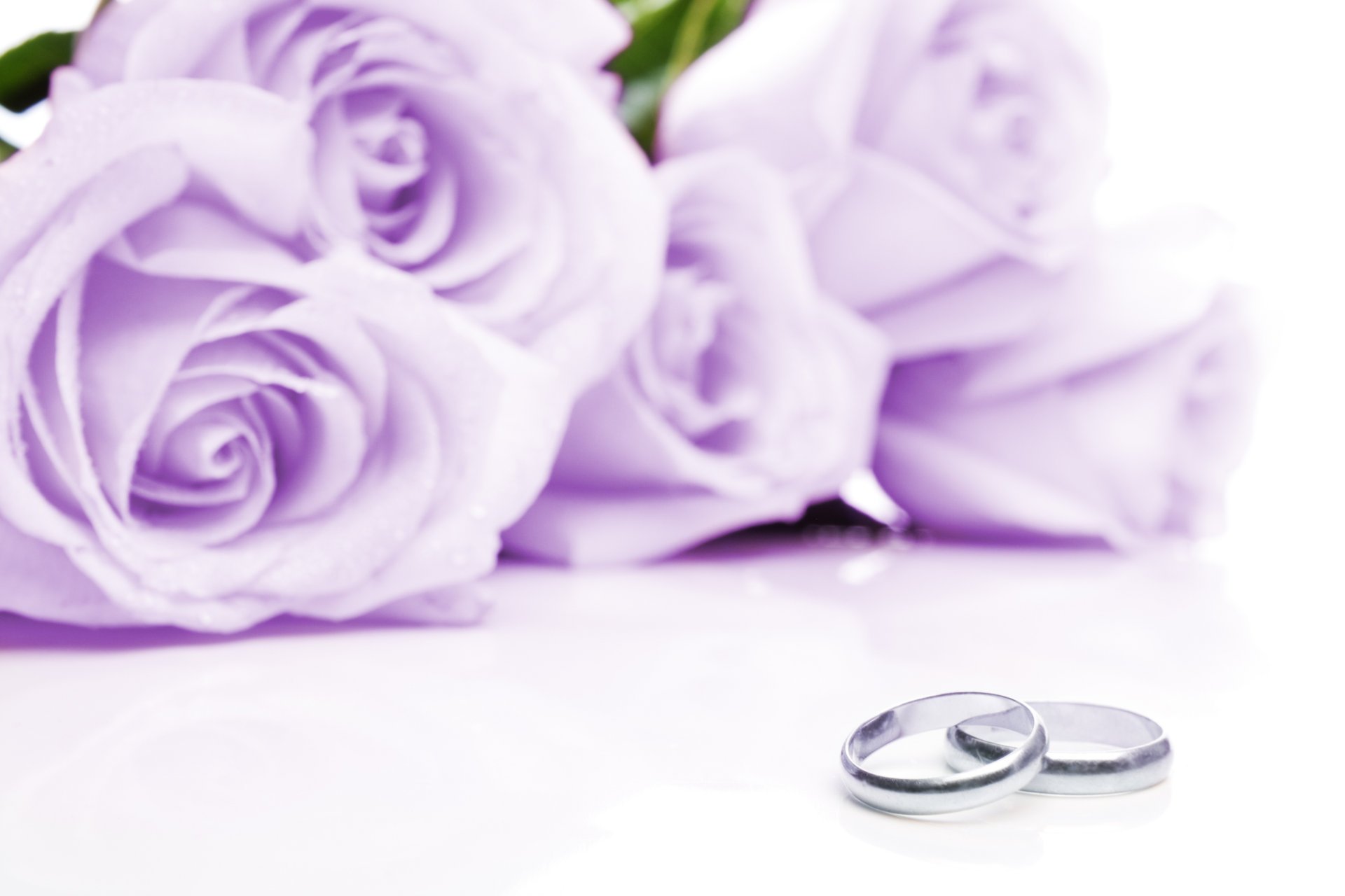 fabric wedding rings flowers lilac rose