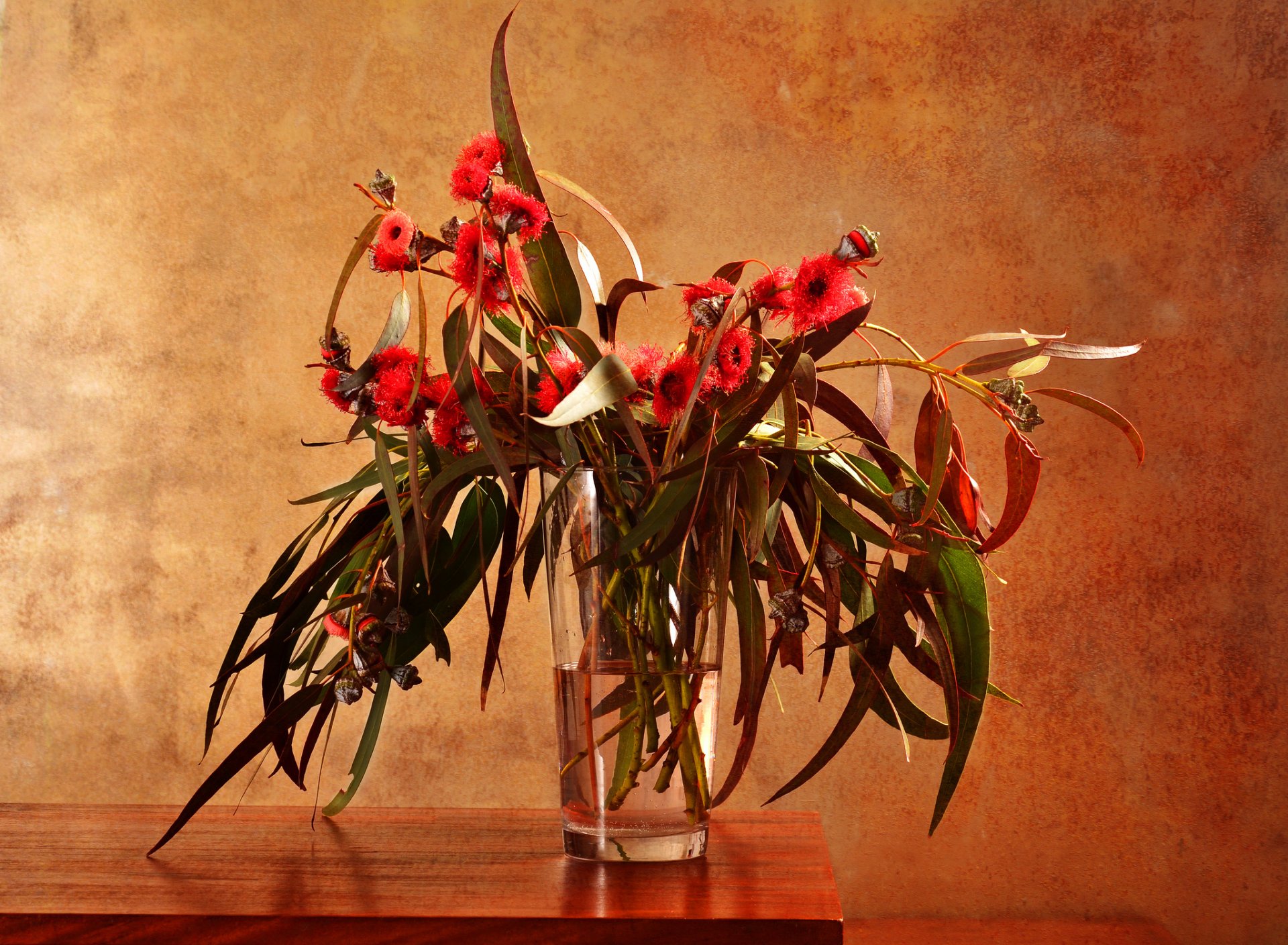 table vase glass water branches leaves flower eucalyptu