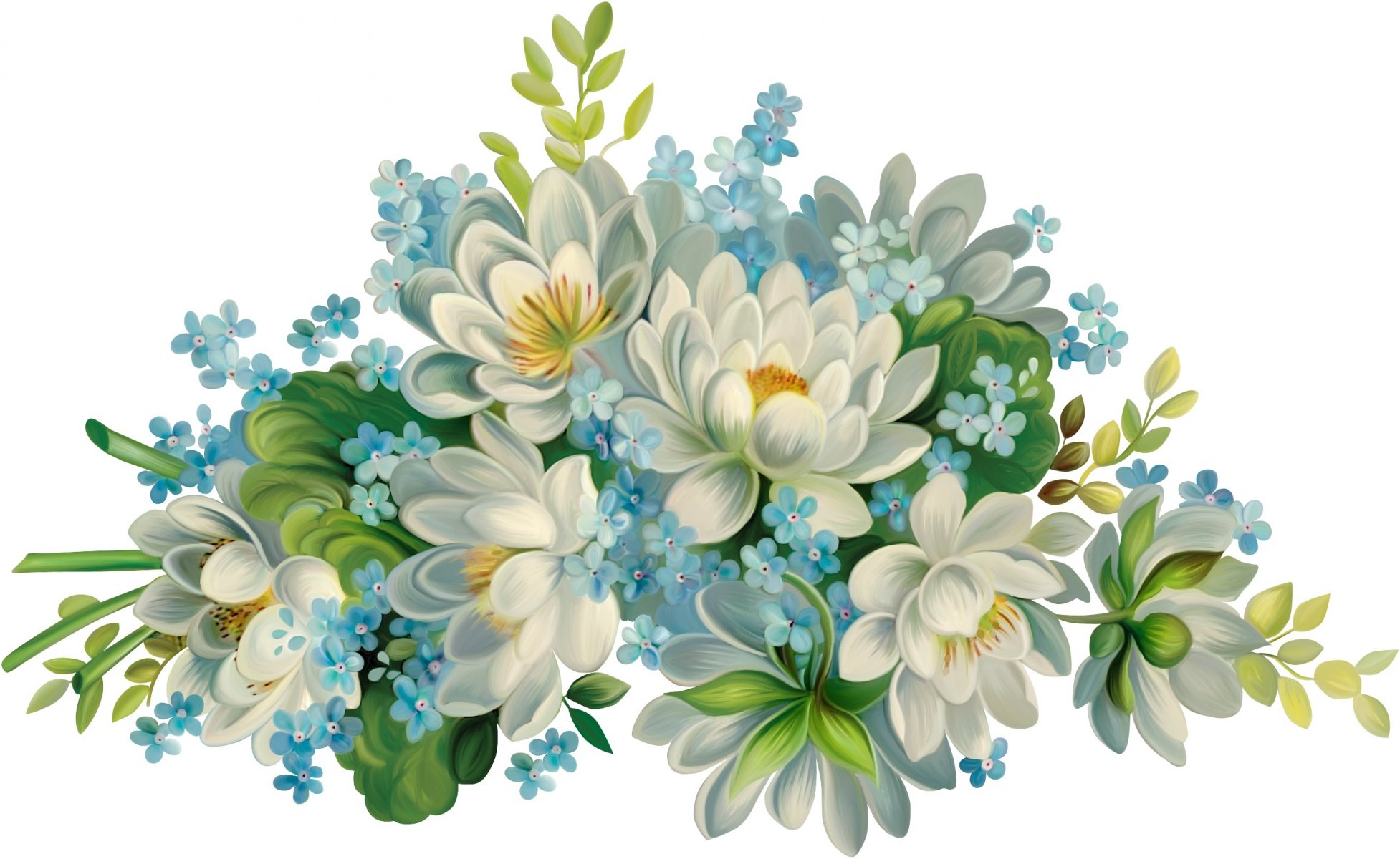 flower blue flowers beautiful white background