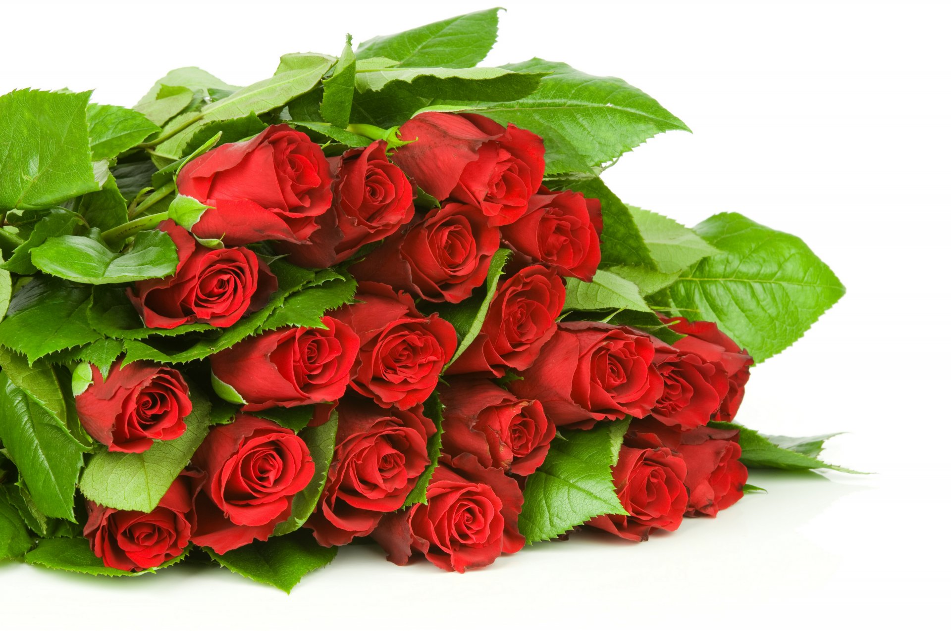 flower red roses buds leaves bouquet flower