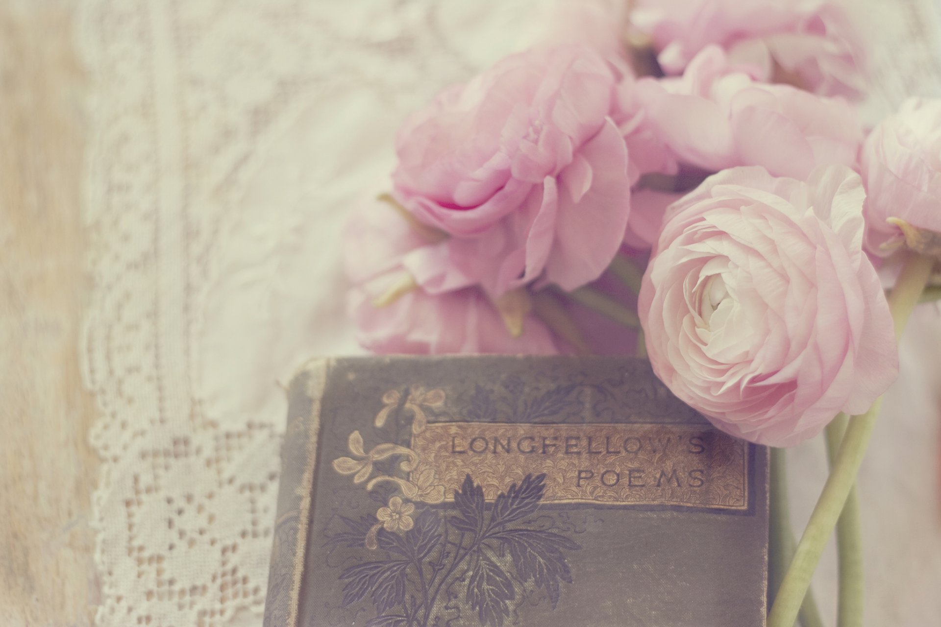 buttercups ranunculus flower buds petals white pink book poem