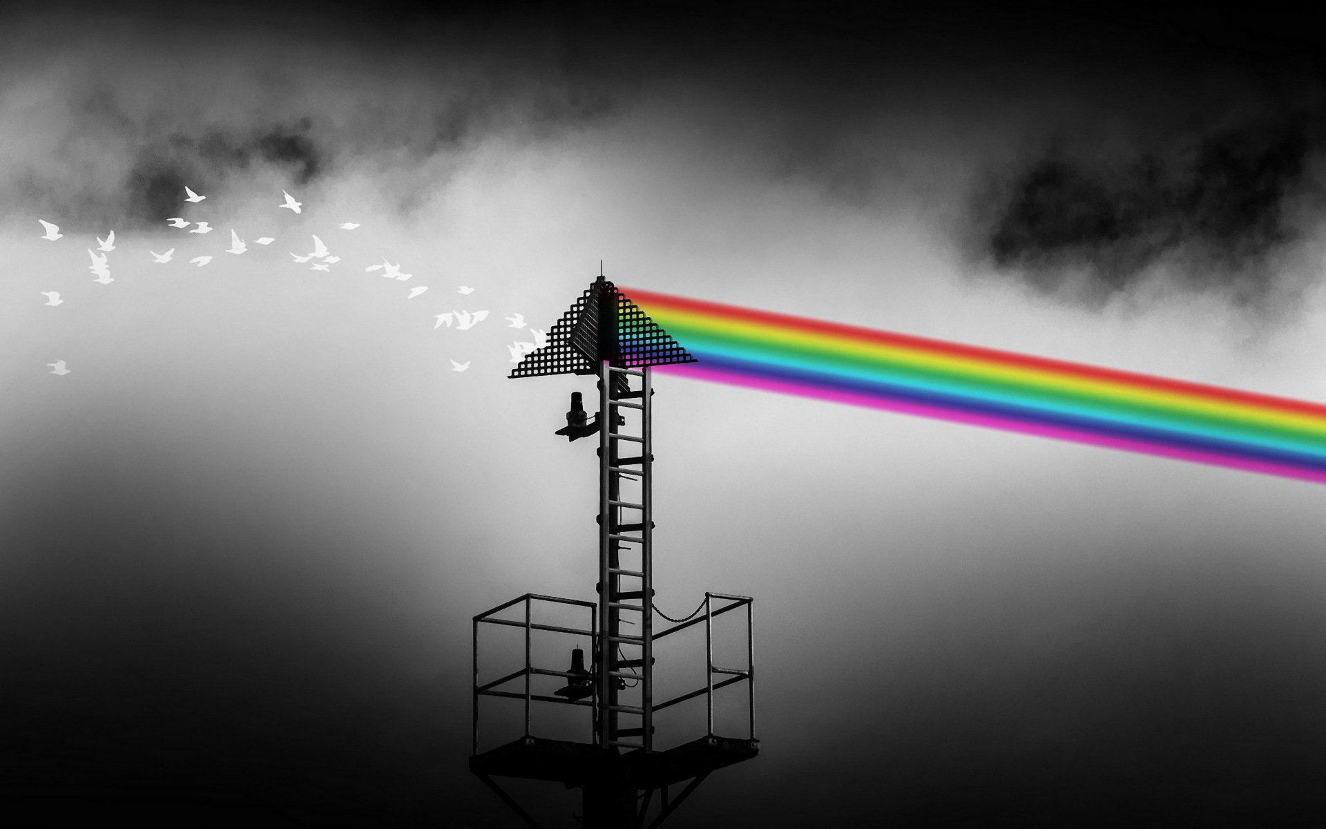 birds spectrum the tower