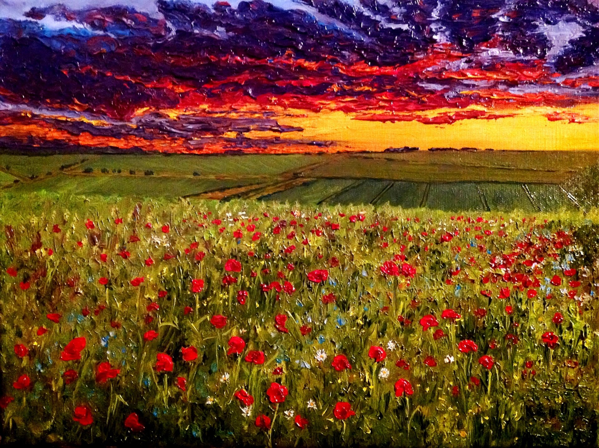 pattern evening sky over poppy field canvas oil the artist o.kats