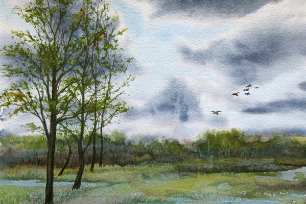 Natural landscape of a forest swamp on canvas