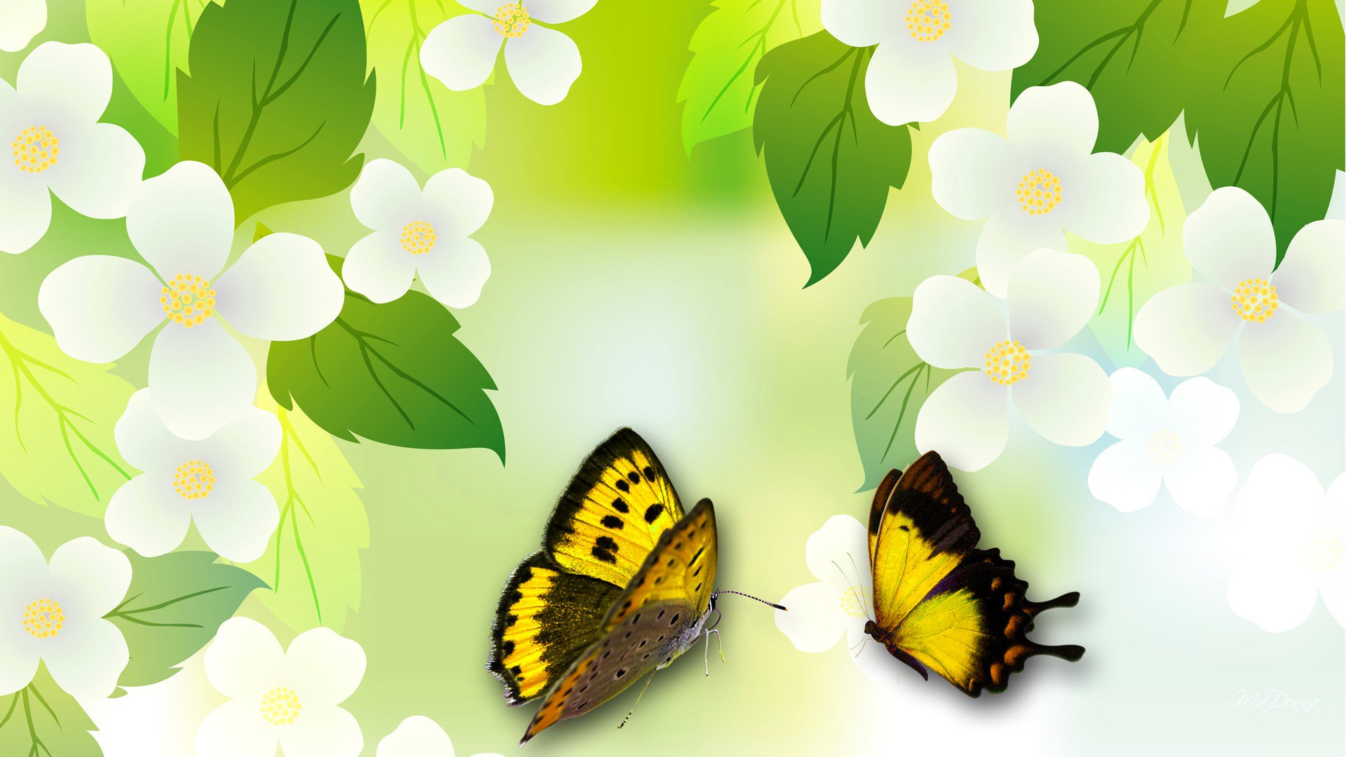 collage flower leaves spring butterfly