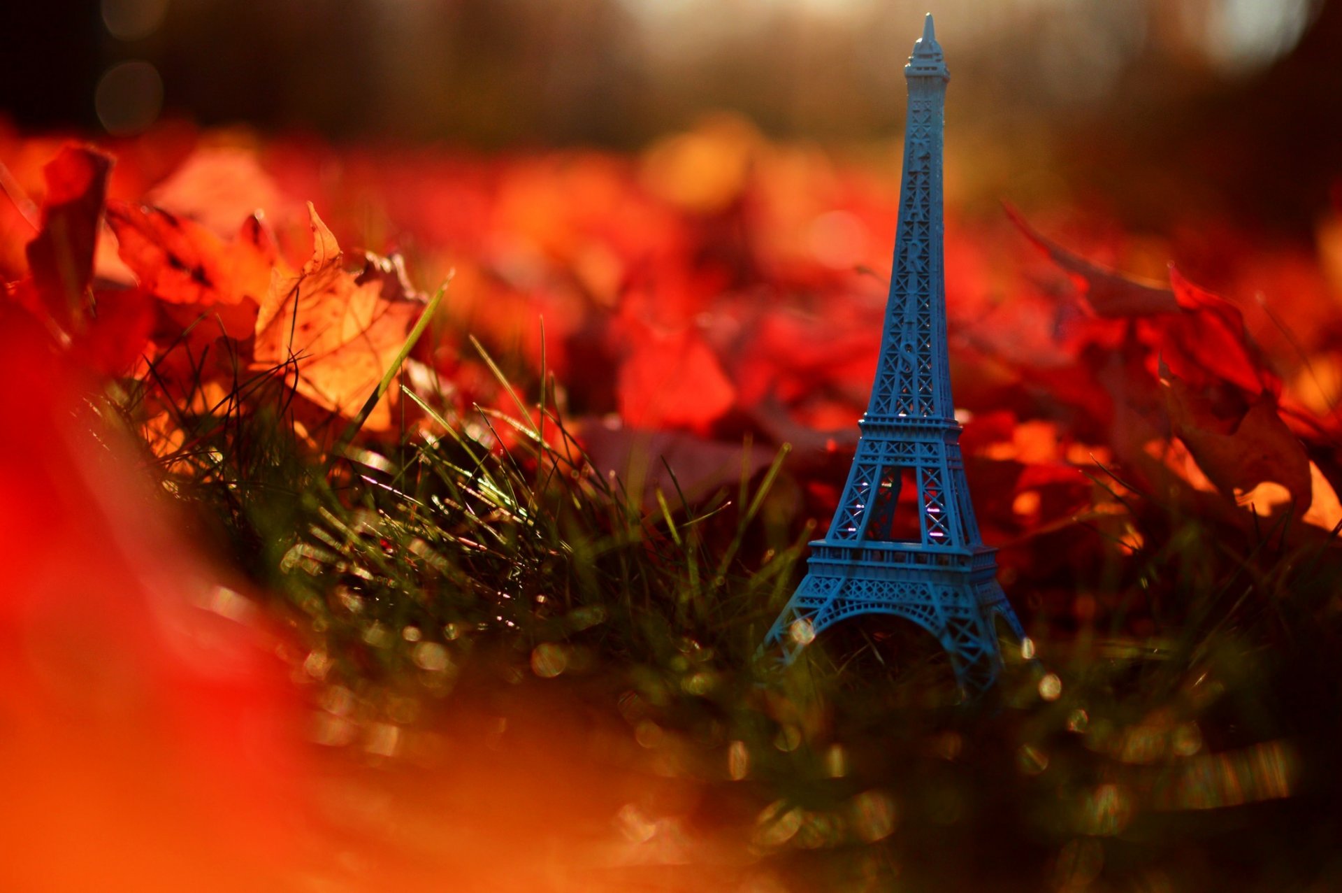 autumn leaves nature grass eiffel tower paris france