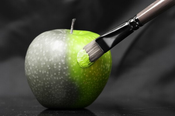 Creative gray apple is painted green with a brush