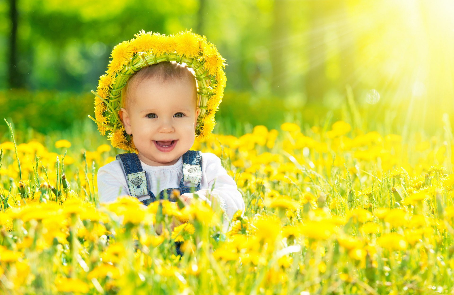 mile wreath dandelions sunlight
