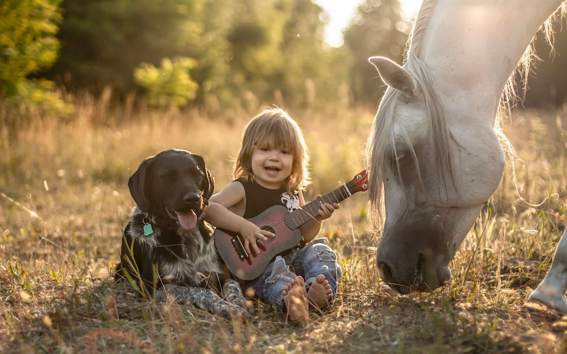boy dog horse horse friends friendship guitar