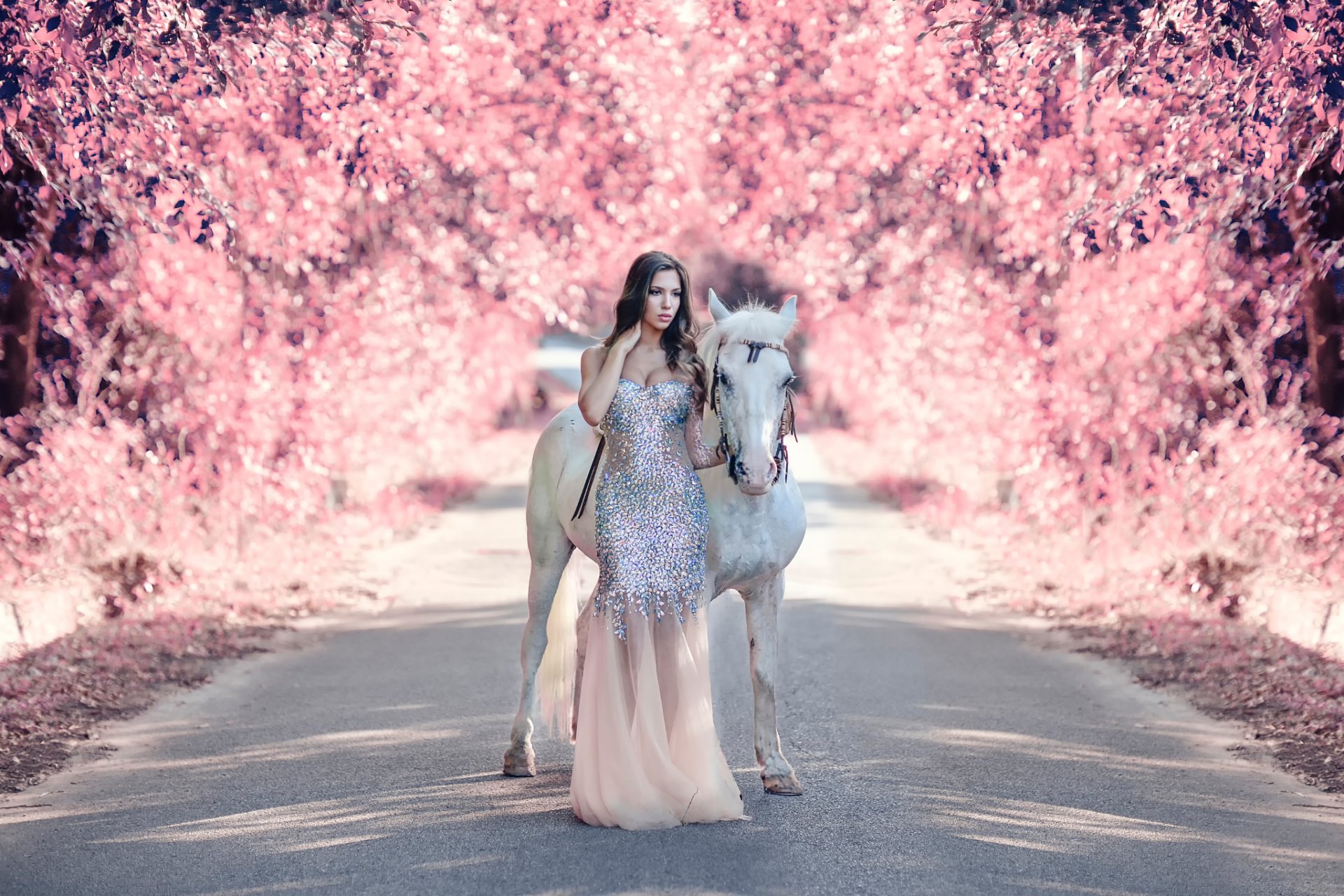 my fantasy world girl road horse alessandro di cicco