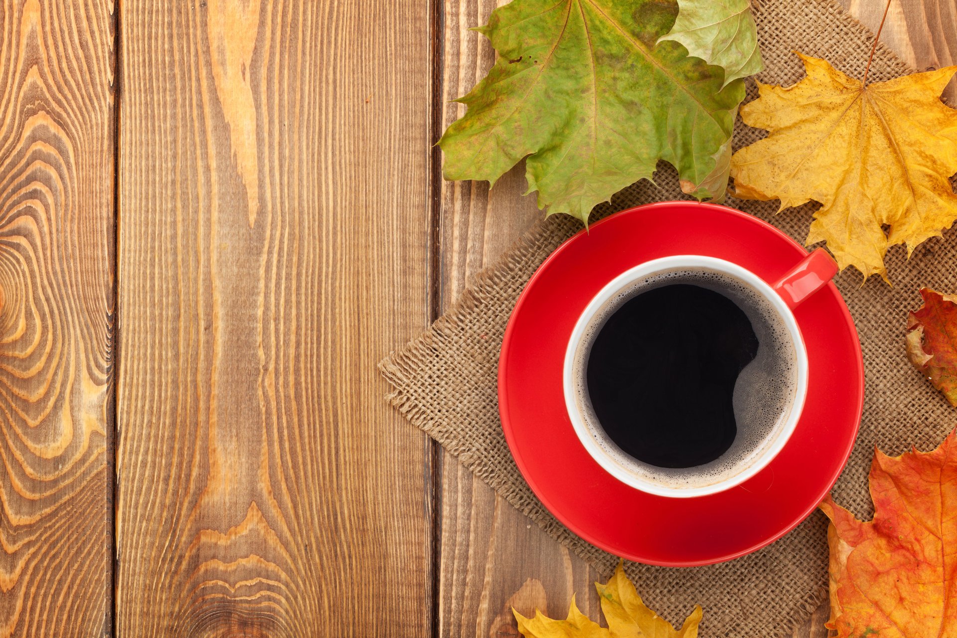 autumn fall leaves maple cup coffee autumn leave