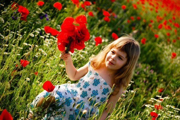 A little girl in a poppy field