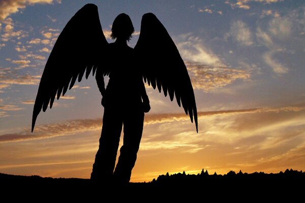 Silhouette of an angel with wings on the sunset background