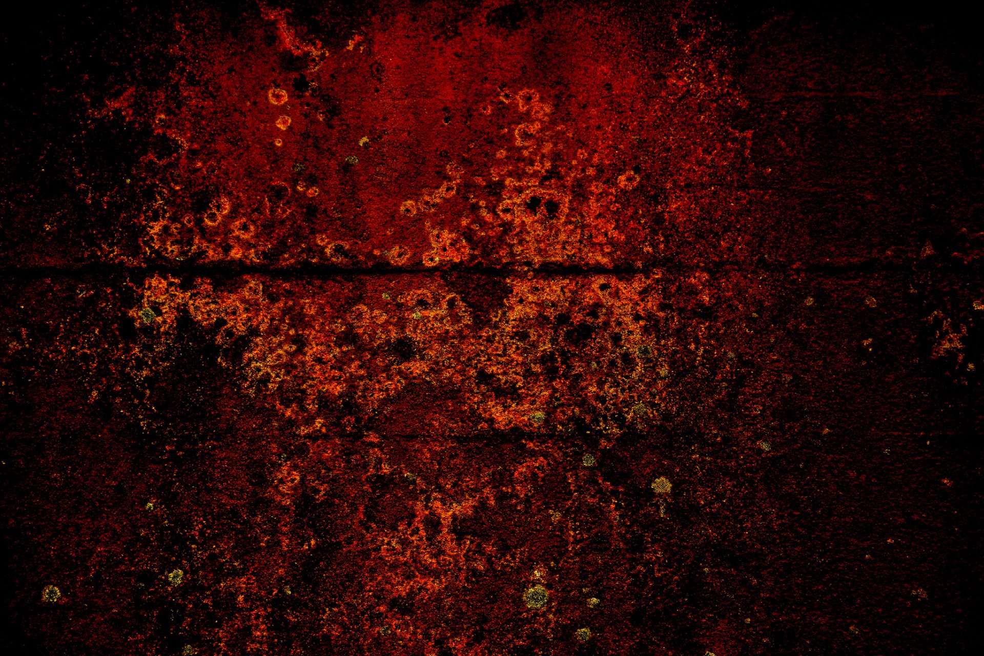 metal rust surface flower