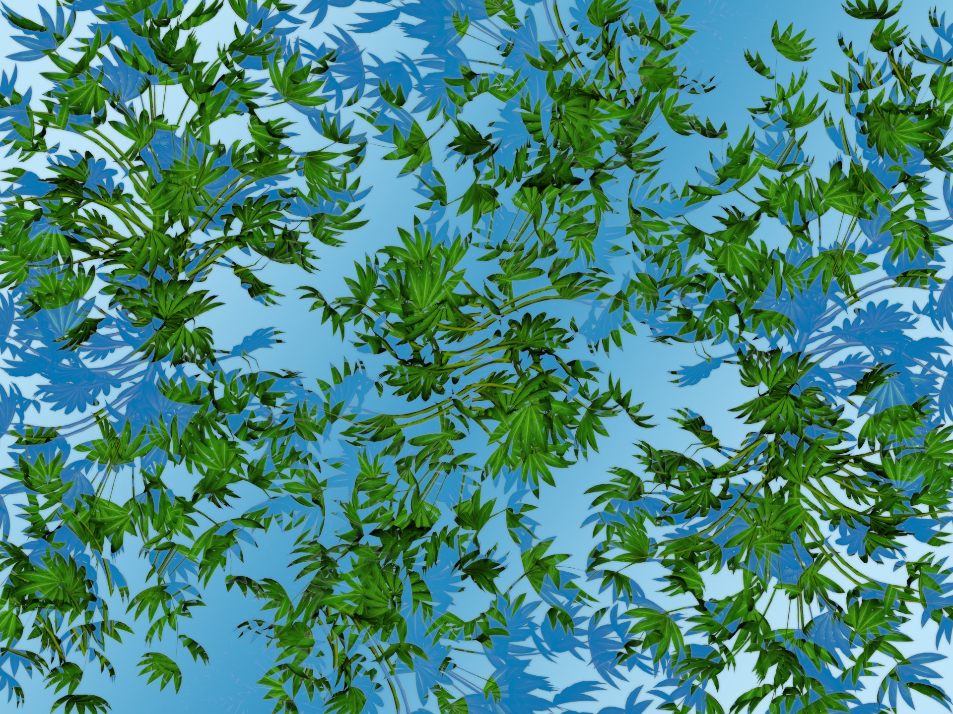 leaves green branches shadow water sky