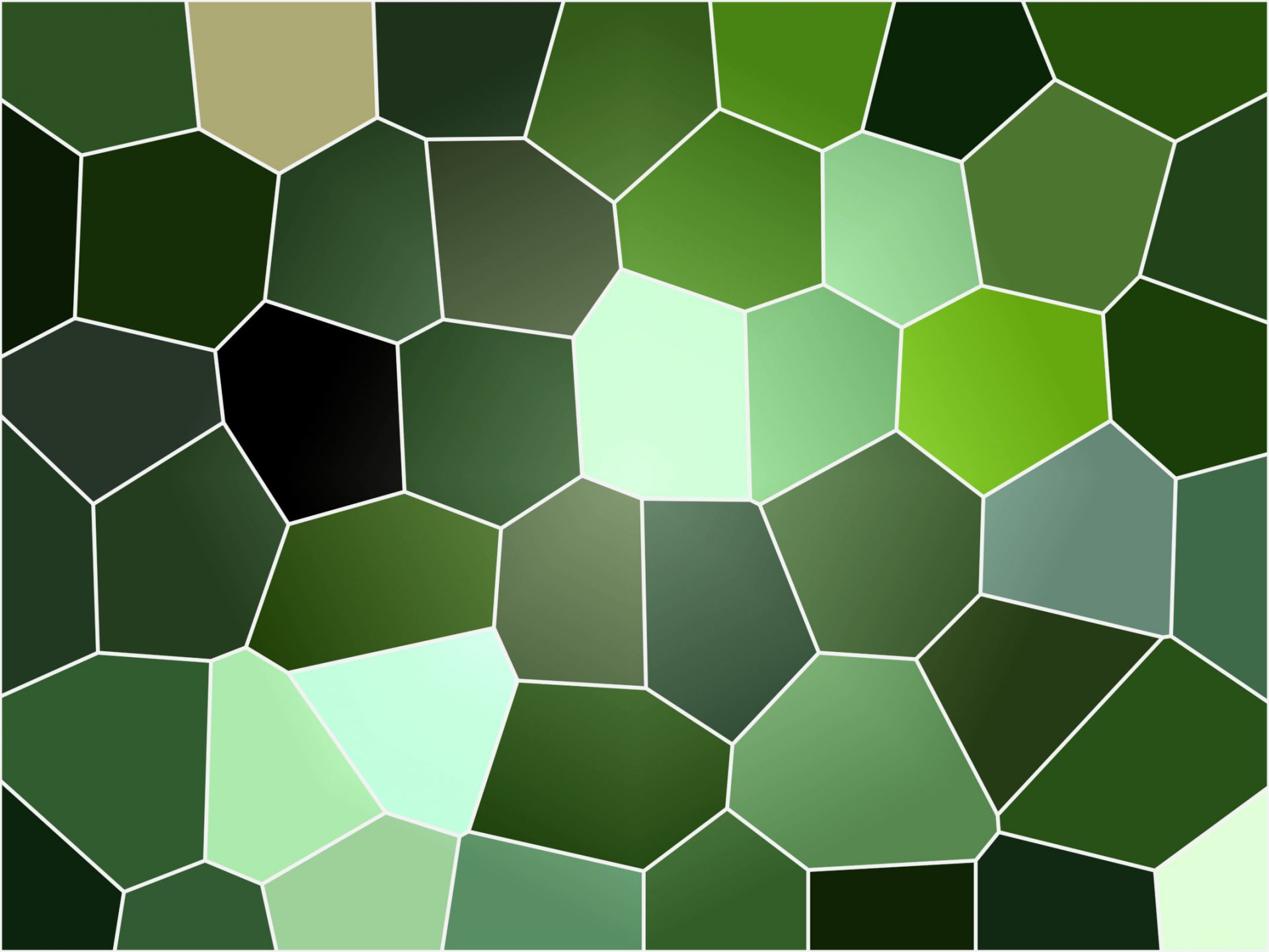 edition background texture