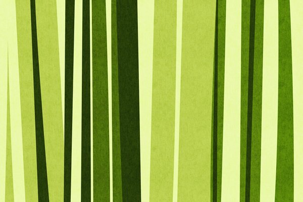 Strips of green bombuk forest