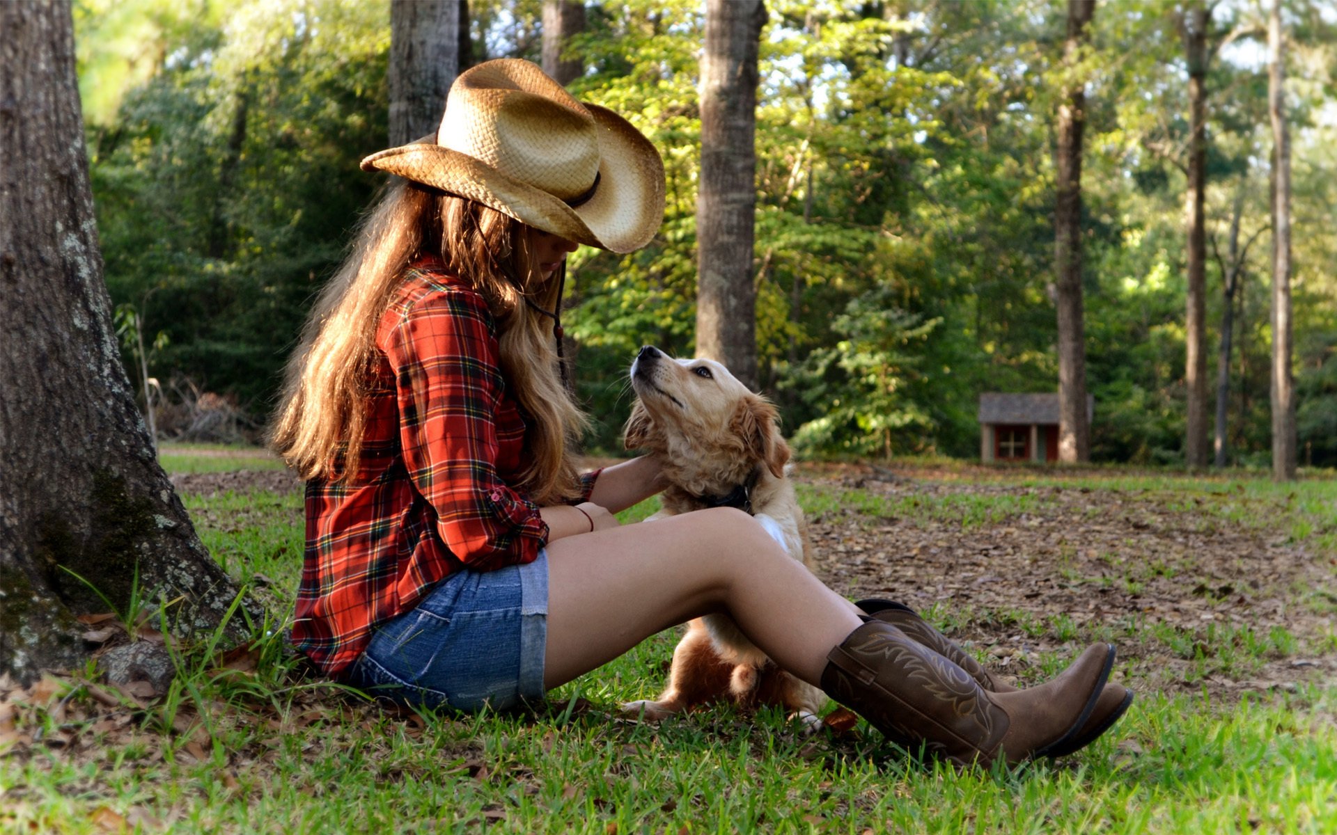 dog girl tree grass sitting hat sunset house